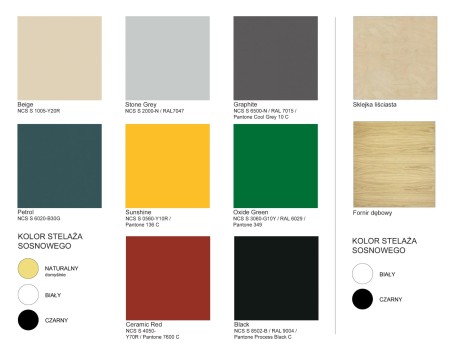 COLOR_PRO_CATALOG-wer.3.22_1-scaled.jpg