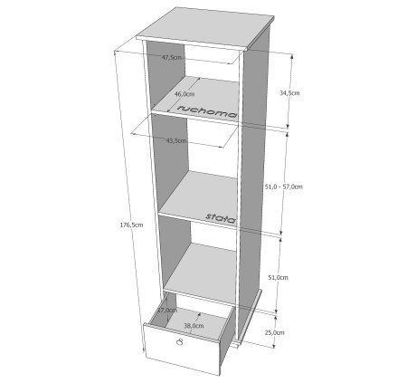 regal ptilou szkic2.jpg