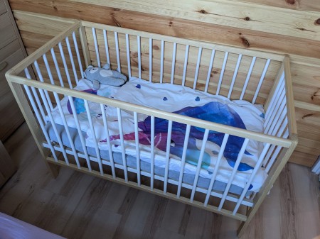 dominik biel sosna meintert 4.jpg