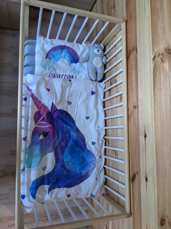 dominik biel sosna.jpg