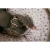 B_Meeko_ZestawKoszMojzesza_Vintage_02.webp