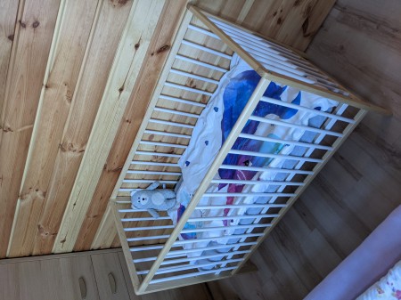 dominik biel sosna mein.gr.5.jpg