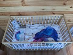 dominik biel sosna meinert 1.jpg