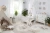 Dywan_150x150_SleepyLion_Aranżacja_01.webp