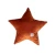 Welurowa_Poduszka_Ozdobna_Gwiazdka_Cinammon_01.webp