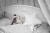 Komplet_Pościeli_InTheWoods_Główne_05.webp