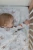 Komplet_Pościeli_SkyAdventure_06.webp