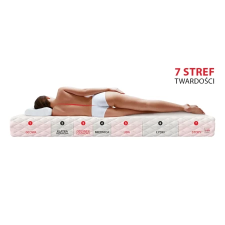 Siedem stref podparcia materaca TREVISO MAX