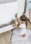 COLLET_komoda-5S_biala_aranzacja_04.webp