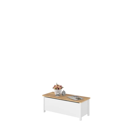 SO10BDN_03.jpg